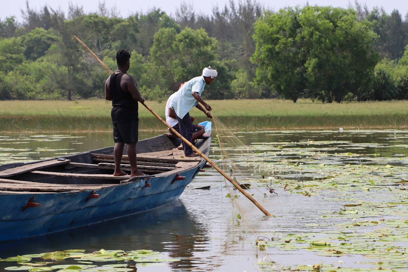 Tech for Wetlands
